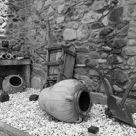 L'hort De Les Irles