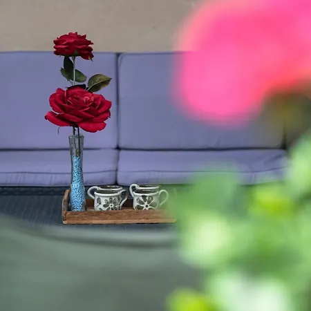 L'hort De Les Irles Apartamento *